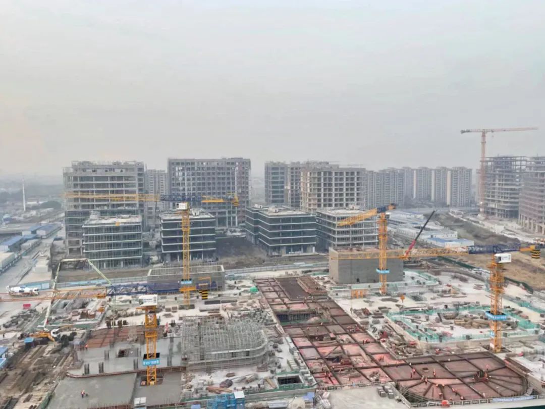 “大虹桥”区域内，这个重大产业项目新年新进展！