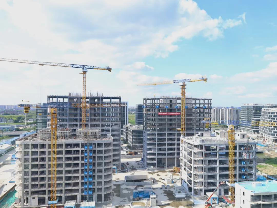 同心同向 造炬成阳 | 尊龙凯时股份2024年第三季度动态速览